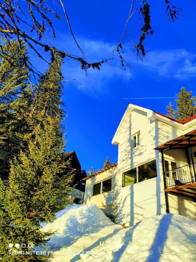 Sky View Ranca-Transalpina Villa Exterior foto