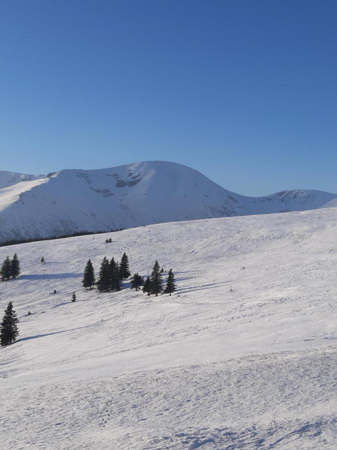 Sky View Ranca-Transalpina Villa Exterior foto