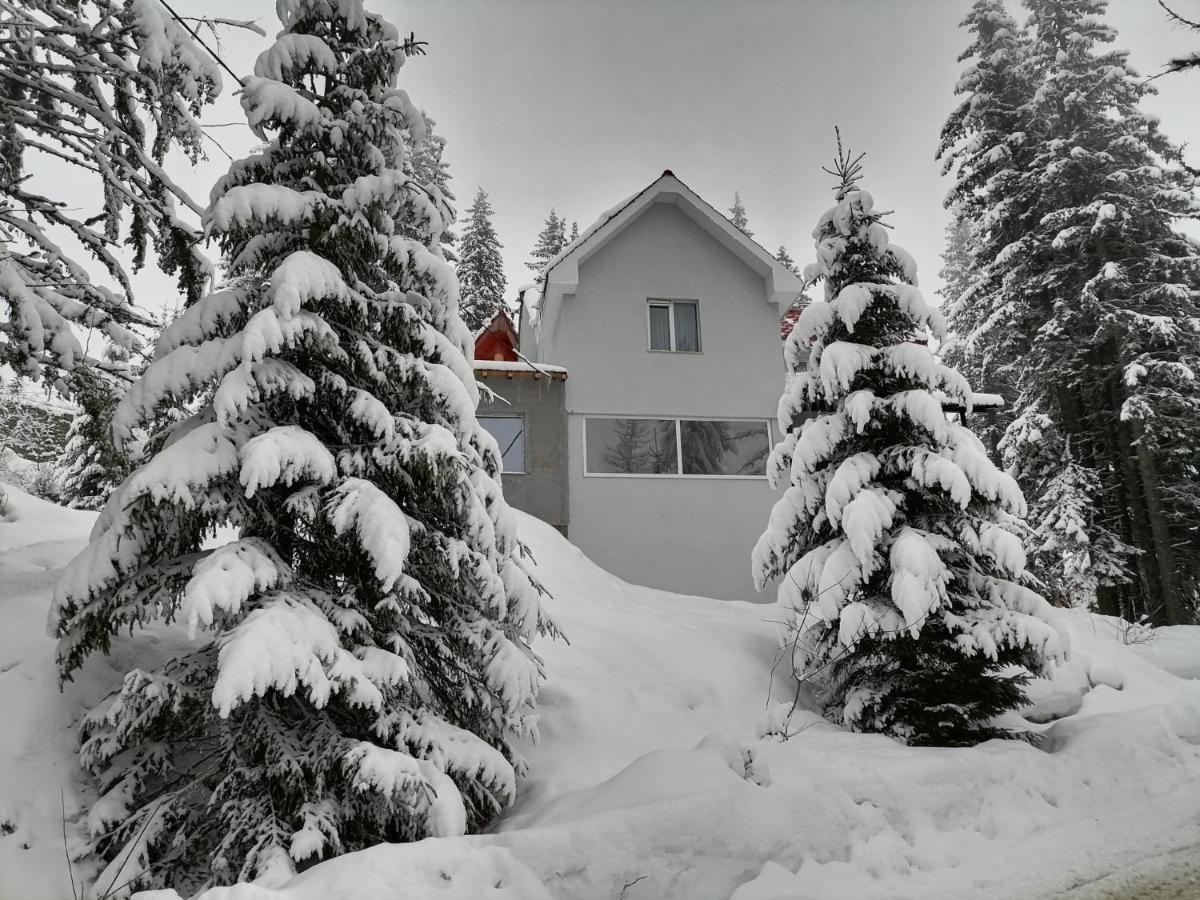 Sky View Ranca-Transalpina Villa Exterior foto