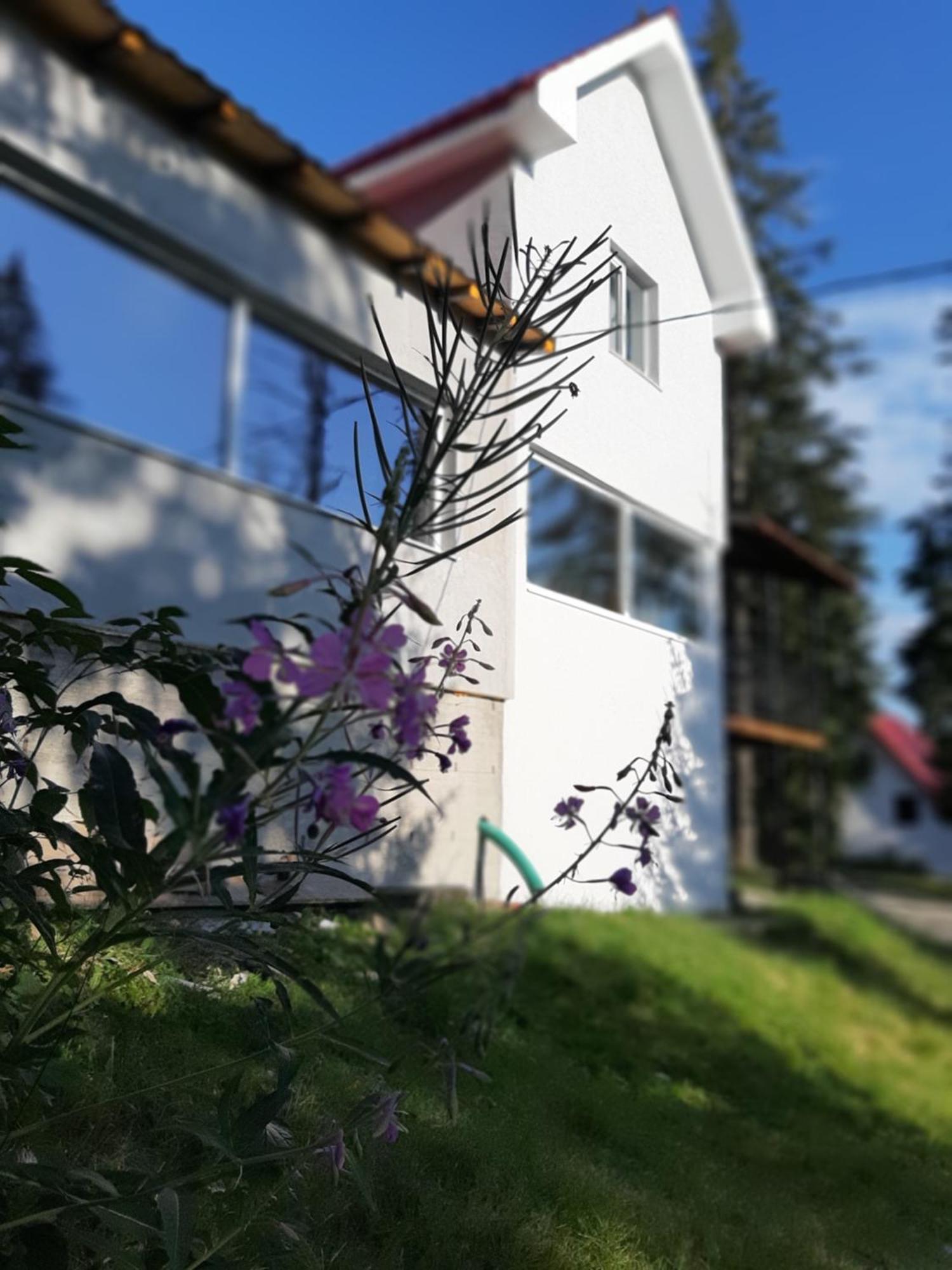 Sky View Ranca-Transalpina Villa Exterior foto
