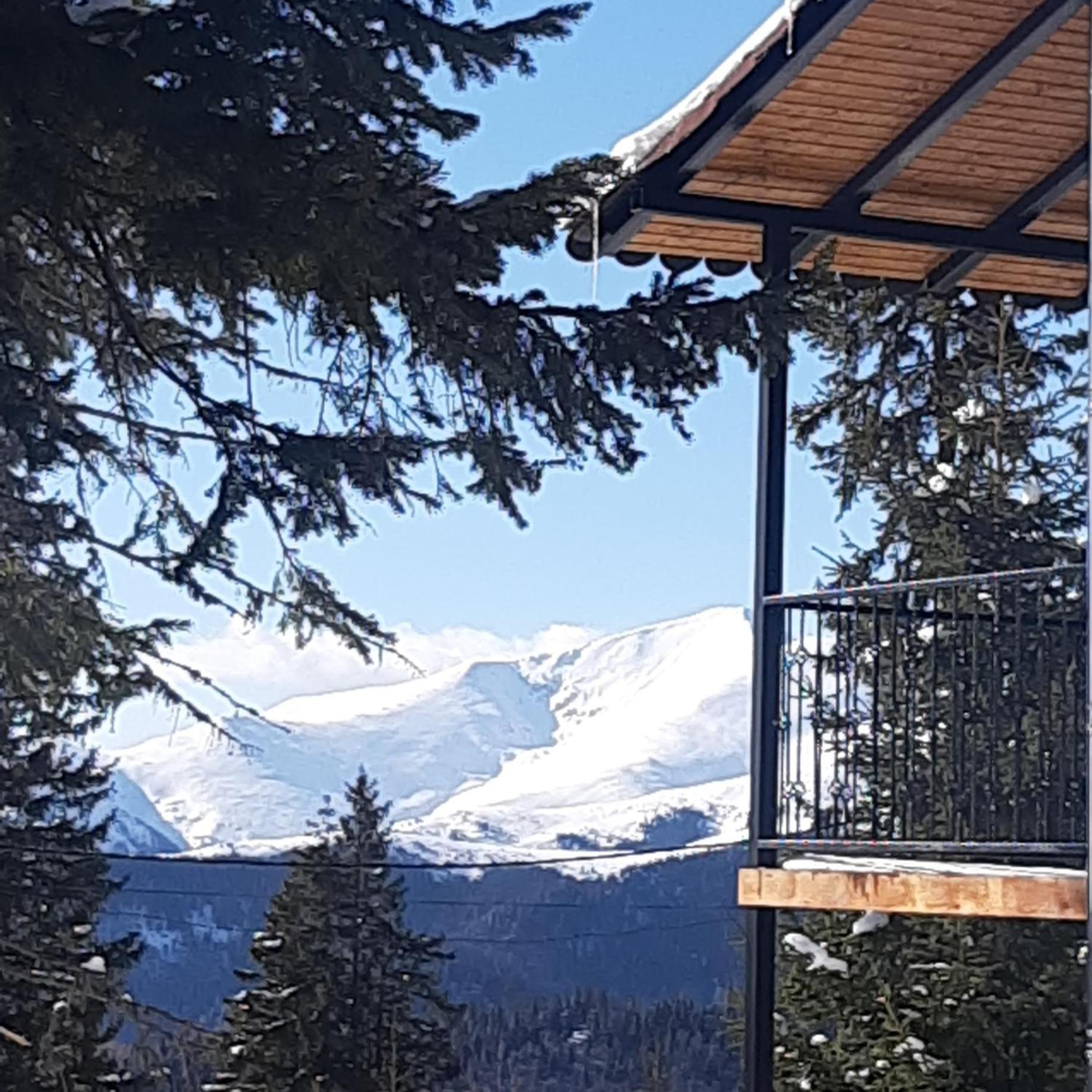 Sky View Ranca-Transalpina Villa Exterior foto