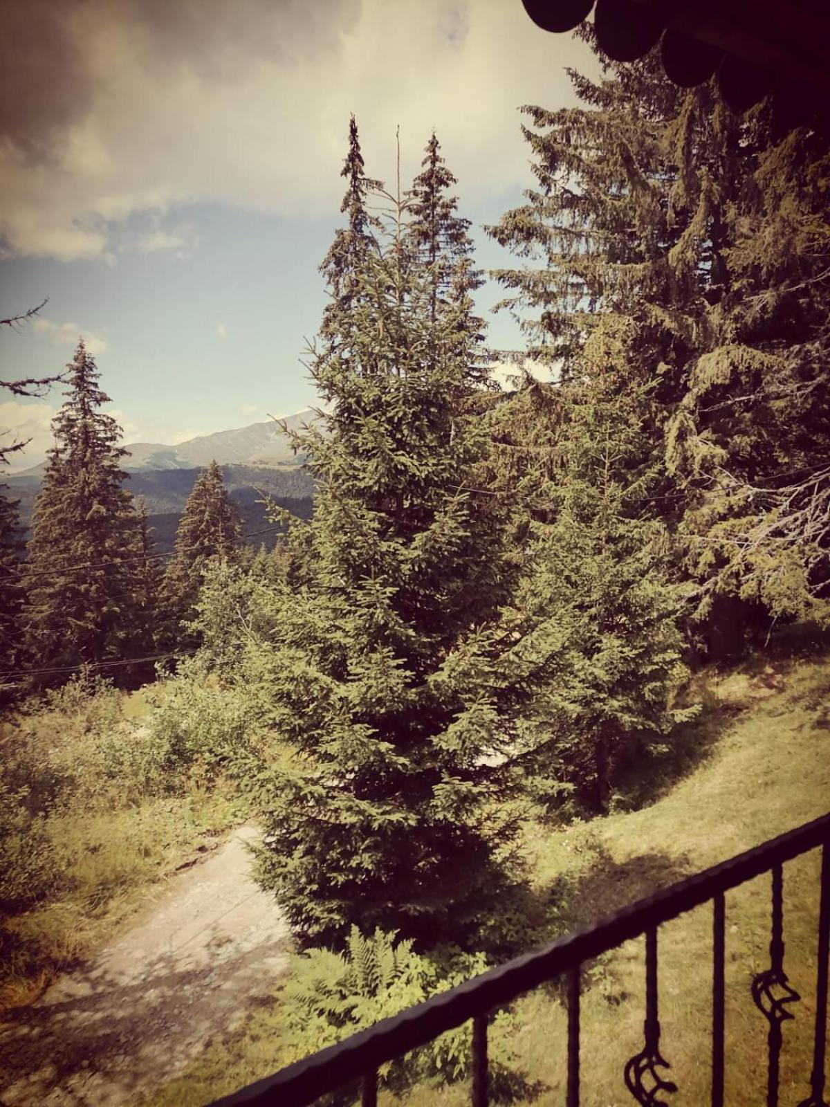 Sky View Ranca-Transalpina Villa Exterior foto