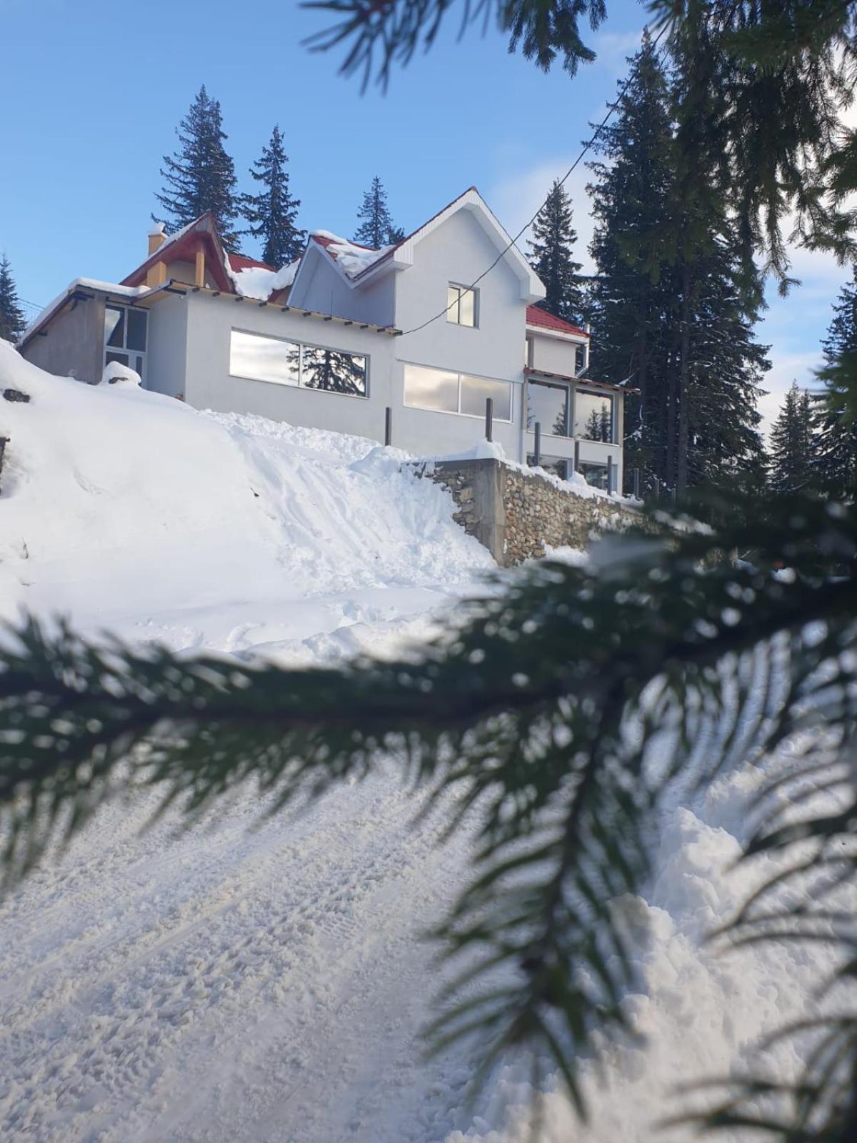 Sky View Ranca-Transalpina Villa Exterior foto